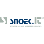Technology Consulting